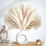 70PCS natural dried pampas grass boho home decor bouquet phragmites dried flowers bouquet