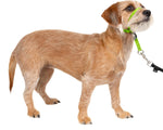PetSafe Gentle Leader Headcollar - No-pull dog collar for medium black size - Durable nylon construction - Adjustable fit