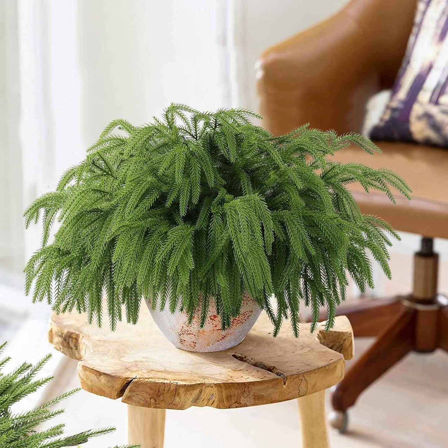 12 Pcs Artificial Norfolk Pine Branches, Norfolk Pine Artificial Pine Stems DIY Crafts Faux Christmas Greenary Norfolk Pine Branches for Xmas Wreath Garland Home Decor (12)