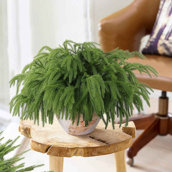 12 Pcs Artificial Norfolk Pine Branches, Norfolk Pine Artificial Pine Stems DIY Crafts Faux Christmas Greenary Norfolk Pine Branches for Xmas Wreath Garland Home Decor (12)