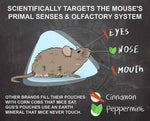 Grandpa Gus's Rodent Repellent Spray, Peppermint & Cinnamon Oil, Prevents Mouse/Rats from Nesting & Chewing on Wires, 16 fl oz (Pack of 1)