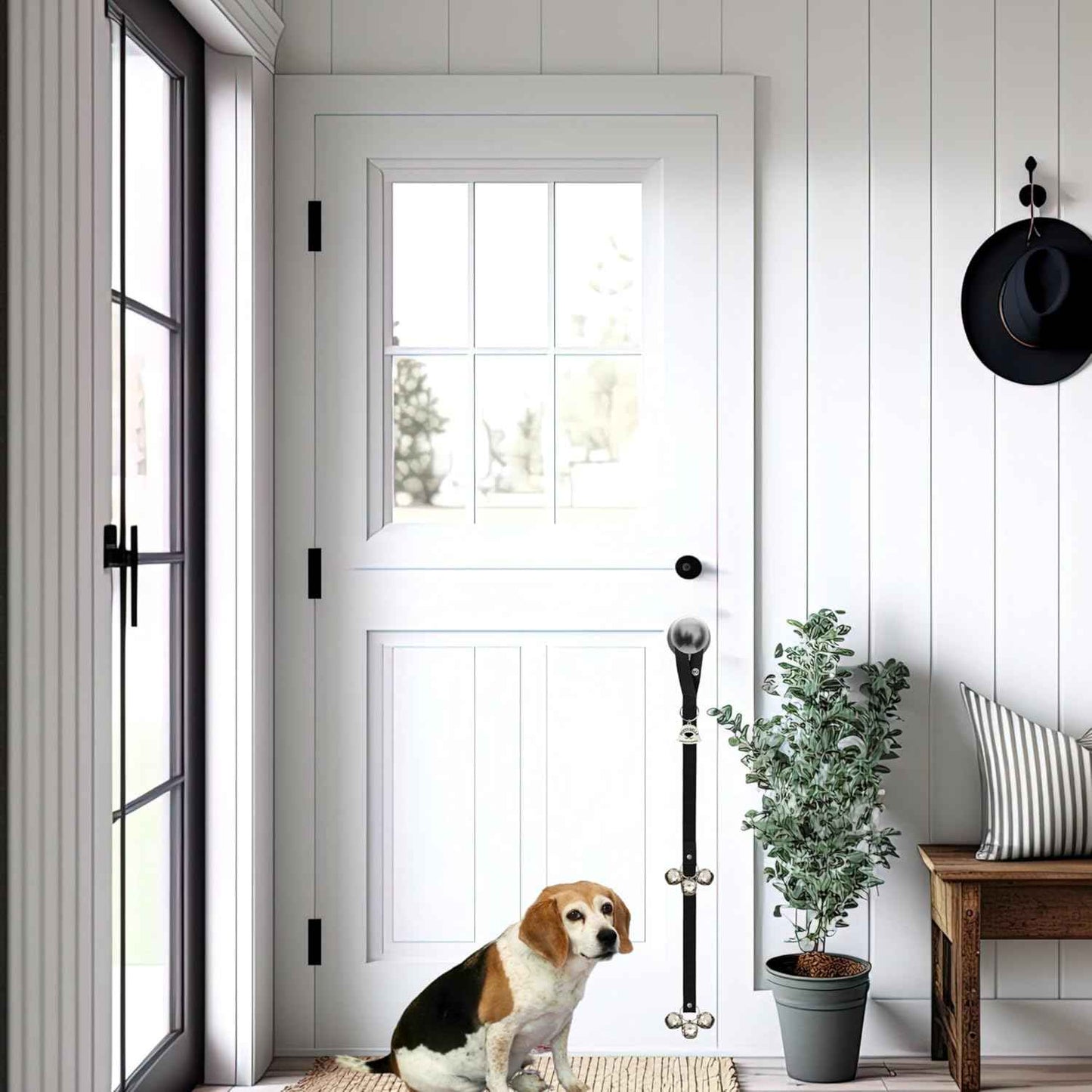 Caldwell's Pet Supply Co. Dog Potty Bells, Dog Door Bell, Bells to Go Outside, Potty Training Bell, Dogs Doorbell, Dogs Potty Doorbell, Ring to Go Pee, All Breed Puppy Training Tool