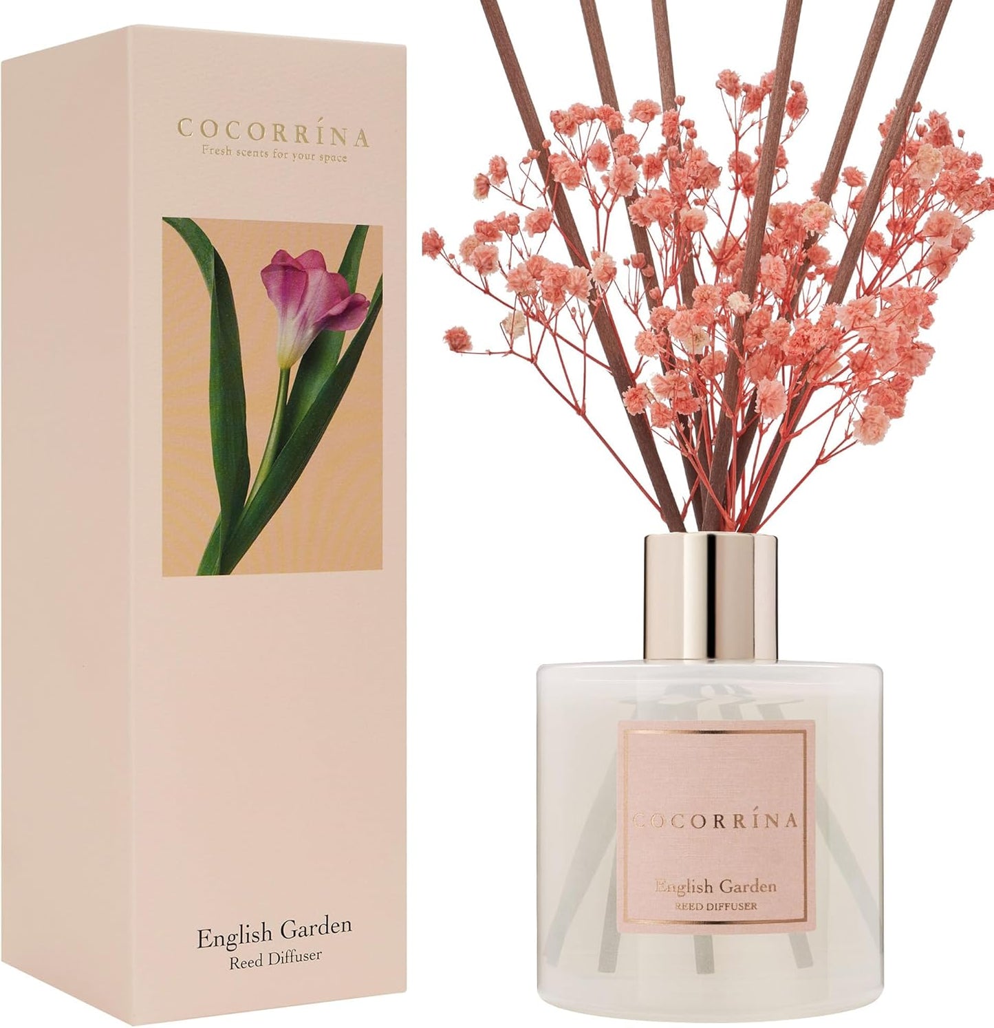 Cocorrína Premium Reed Diffuser Set with Preserved Baby's Breath & Cotton Stick Cashmere Vanilla | 6.7 fl oz Scent Fragrance Oil Diffuser for Bedroom Bathroom Home Décor