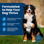 blue buffalo life protection formula adult dry dog food, 5-lb bag, chicken & brown rice recipe