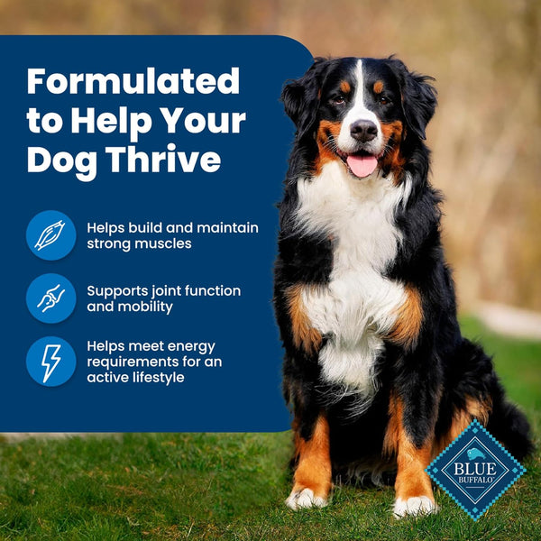 blue buffalo life protection formula adult dry dog food, 5-lb bag, chicken & brown rice recipe