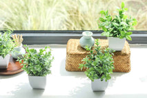 Der Rose 4 Pack Fake Plants Mini Artificial Greenery Potted Plants for Home Decor Indoor Office Table Room Farmhouse Bathroom Decor