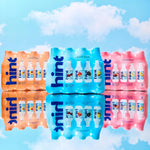 Hint Infused Bottled, Best Sellers Variety Pack - Sugar Free Flavored with Zero Calories, Natural Essences, and No Artificial Sweeteners - 16 Fl Oz (Pack of 12)