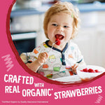 Earth's Best Organic Toddler Snack Bars, 7 Ct, 2 Years and Up, 6 Pack