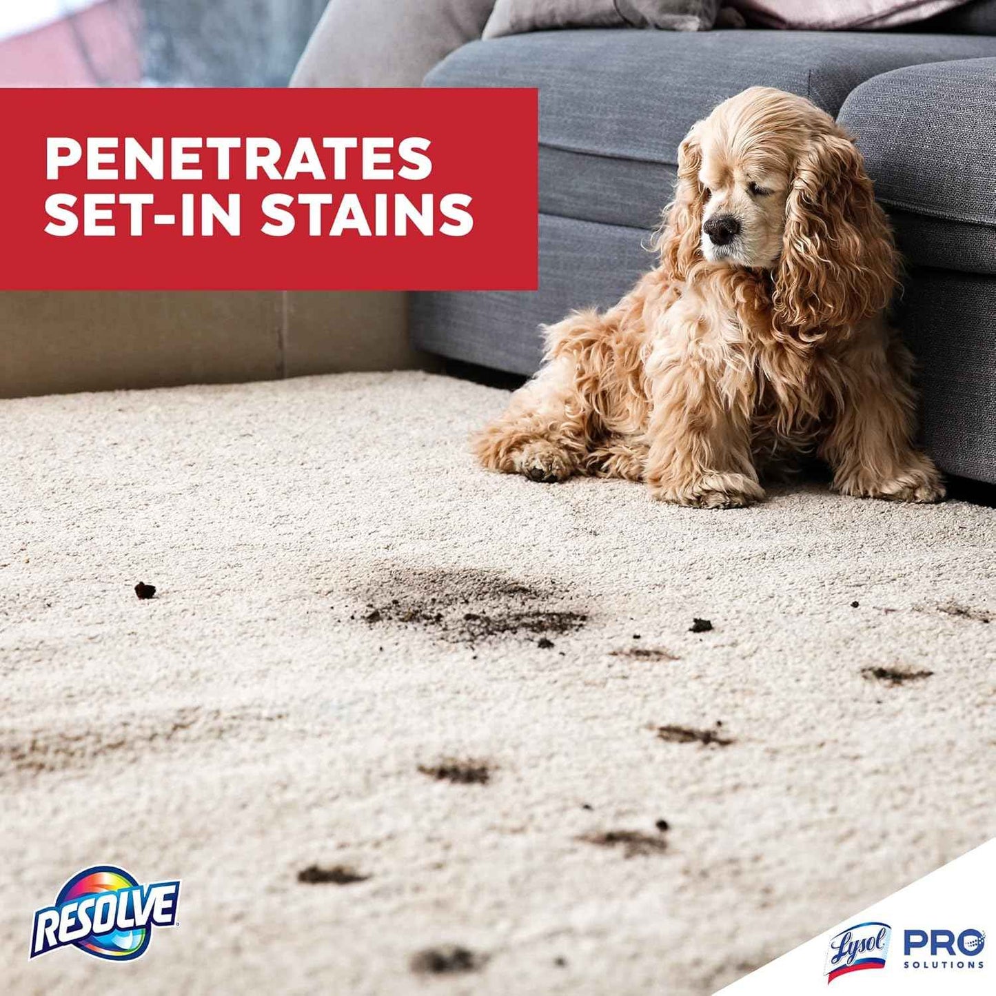 Resolve Professional Strength Spot and Stain Carpet Cleaner, Carpet Cleaner, Carpet Cleaner Solution, 32 Fl Oz (Pack of 1)
