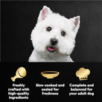 cesar filets in gravy wet dog food rotisserie chicken flavor, filet mignon flavor, and wood-grilled chicken variety pack for adult dogs