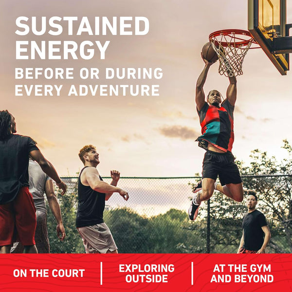 CLIF BAR Energy Protein Bars 10 Pack with Organic Oats and Dark Chocolate