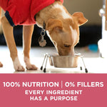 purina one natural sensitive stomach dry dog food plus skin & coat formula salmon 31.1 lb bag