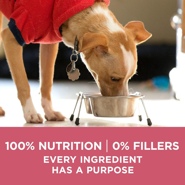 purina one natural sensitive stomach dry dog food plus skin & coat formula salmon 31.1 lb bag