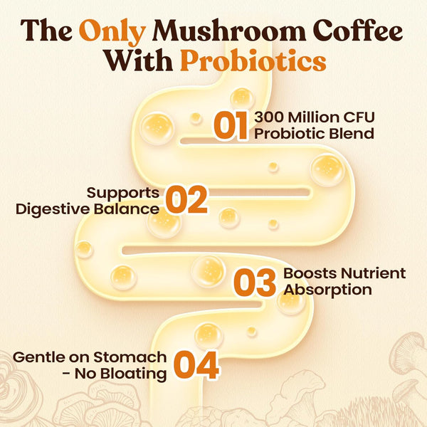 venture pal 48000mg lion's mane mushroom coffee with 12 adaptogenic mushrooms, 40 servings, instant coffee