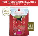 Purina ONE Dry Dog Food Lamb and Rice Formula, 31.1 lb Bag, Red Bag, Made in USA
