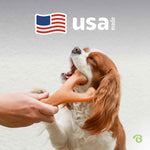 benebone wishbone durable dog chew toy for aggressive chewers real bacon medium made usa