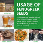 Jiva Organic Fenugreek Seeds 7 Ounce - Non-GMO, Gluten Free, All Natural Fenugreek Spice - USDA Certified, Product of India