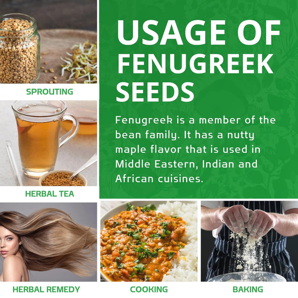 Jiva Organic Fenugreek Seeds 7 Ounce - Non-GMO, Gluten Free, All Natural Fenugreek Spice - USDA Certified, Product of India