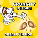 Temptations Cat Classic Crunchy and Soft in Tasty Chicken Flavor 30 oz Tub