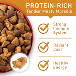 Purina ONE Chicken and Rice Formula Dry Dog Food, 16.5 lb Bag, Adult Dog Nutrition
