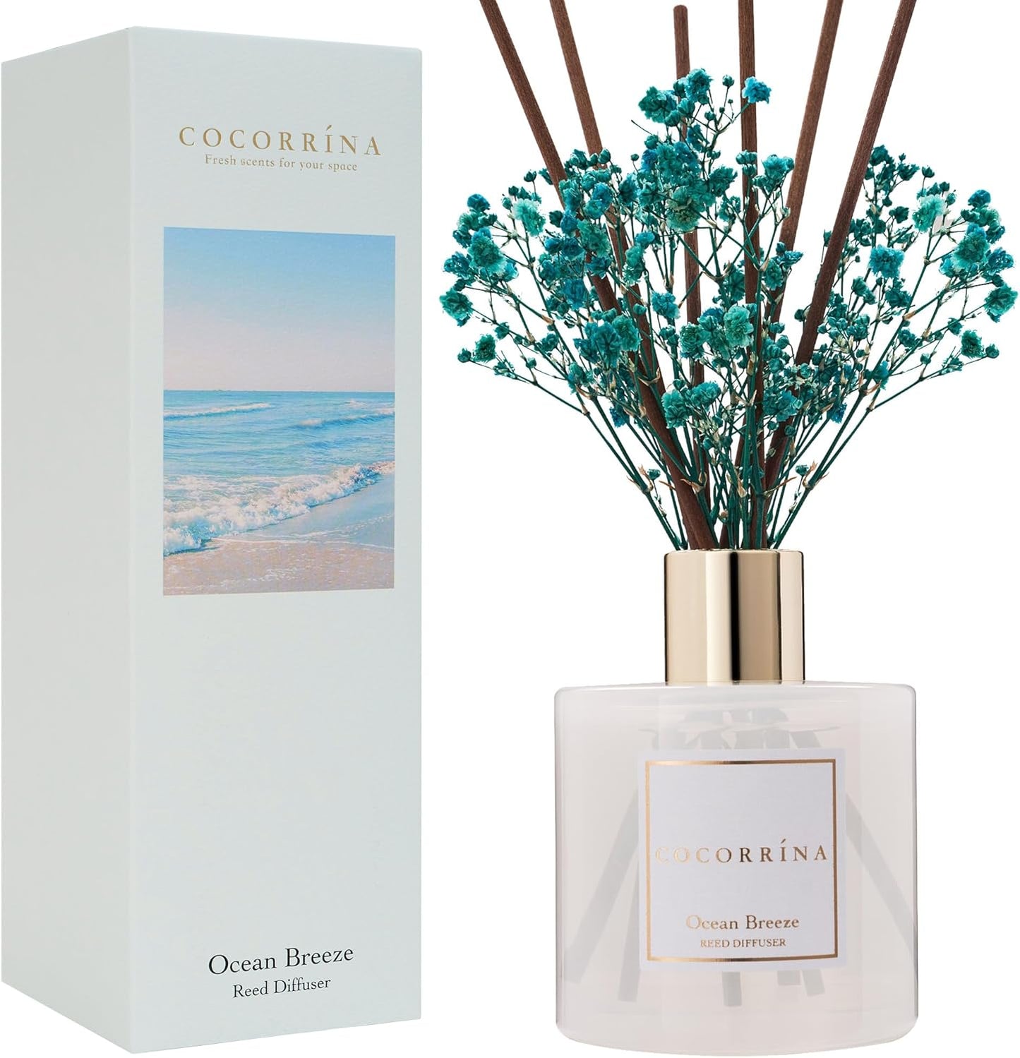 Cocorrína Premium Reed Diffuser Set with Preserved Baby's Breath & Cotton Stick Cashmere Vanilla | 6.7 fl oz Scent Fragrance Oil Diffuser for Bedroom Bathroom Home Décor