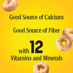 Apple Cinnamon Cheerios Family Size Heart Healthy Gluten Free Oat Cereal 19 oz