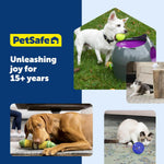 PetSafe Busy Buddy Natural Rawhide Rings Size C Peanut Butter & Original Rawhide Flavored Treats 24-Pack