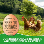 Organic Eggs Free Range Large Brown, 12 Count