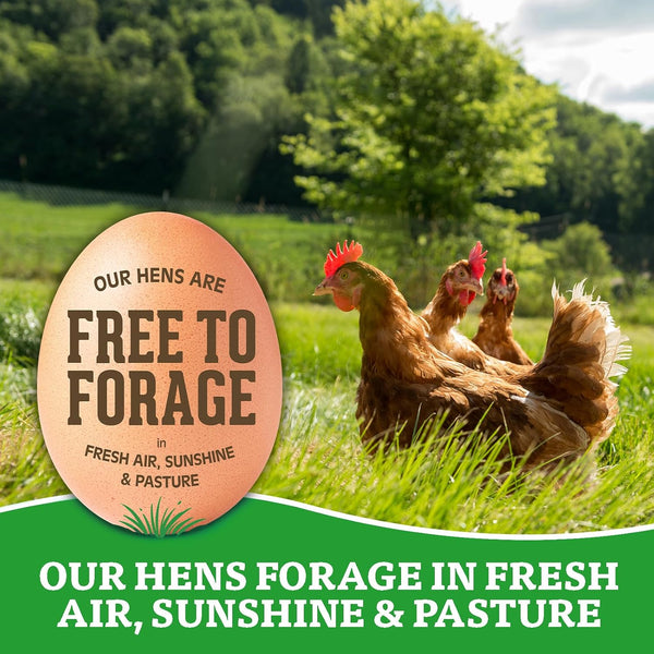 Organic Valley® Organic Large Eggs — Free Range, Brown Eggs — 18 Count