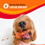 Good 'n' Fun Triple Flavor Kabobs Chews for All Dogs, 24 Ounces, with Beef Hide, Chicken, and Duck