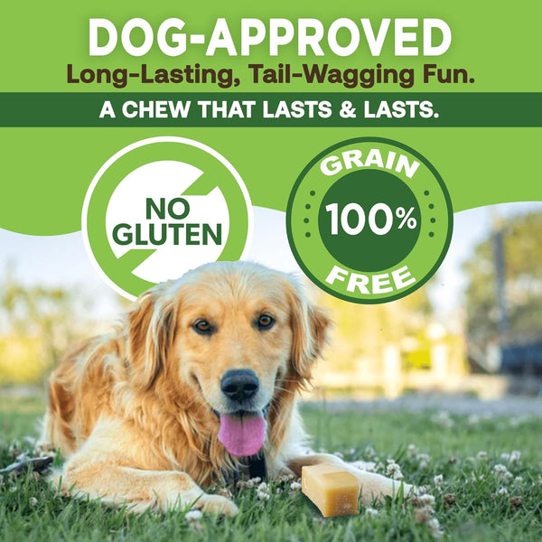 EcoKind Premium Gold Yak Cheese Himalayan Dog Chews for Large Breed, Aggressive Chewers, Natural, High Protein, 4 Chews (1 lb)