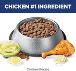 Hills Science Diet Sensitive Stomach Skin Chicken Recipe Adult Dog Food 30 lb Bag