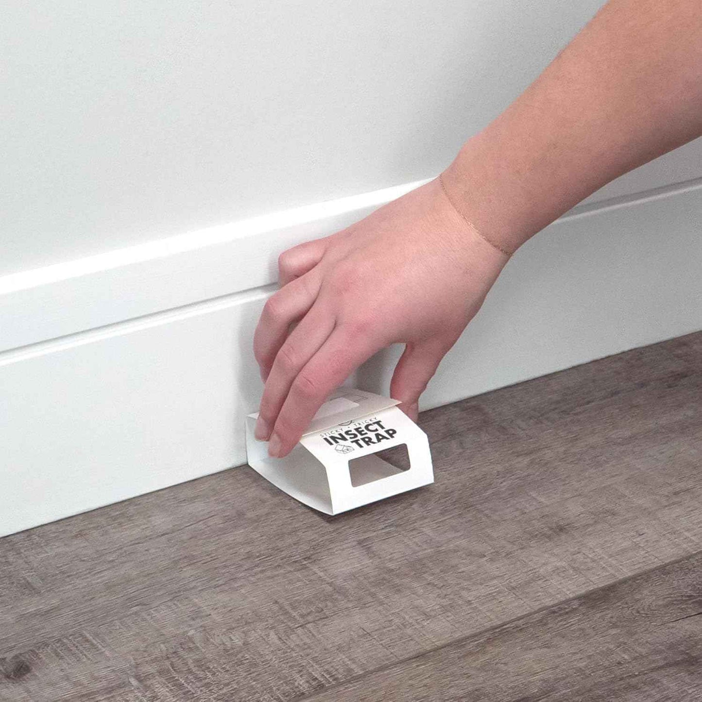 S&T INC. Insect Traps, 30 Count, Glue Traps for Brown Recluse, Hobo Spiders, Black Widows, Use in Home, Basement or Garage, or Utility Rooms for Pest Control