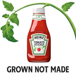 heinz-tomato-ketchup-38oz-bottle-gluten-free-sweet-juicy-ripe-tomatoes