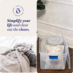 Large Clear Plastic Storage Bins with Lids for Home Office Organization