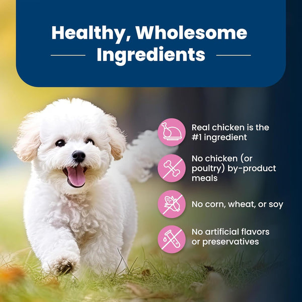 blue buffalo life protection formula adult small breed dry dog food, supports high energy needs, 5-lb bag, chicken & brown rice recipe