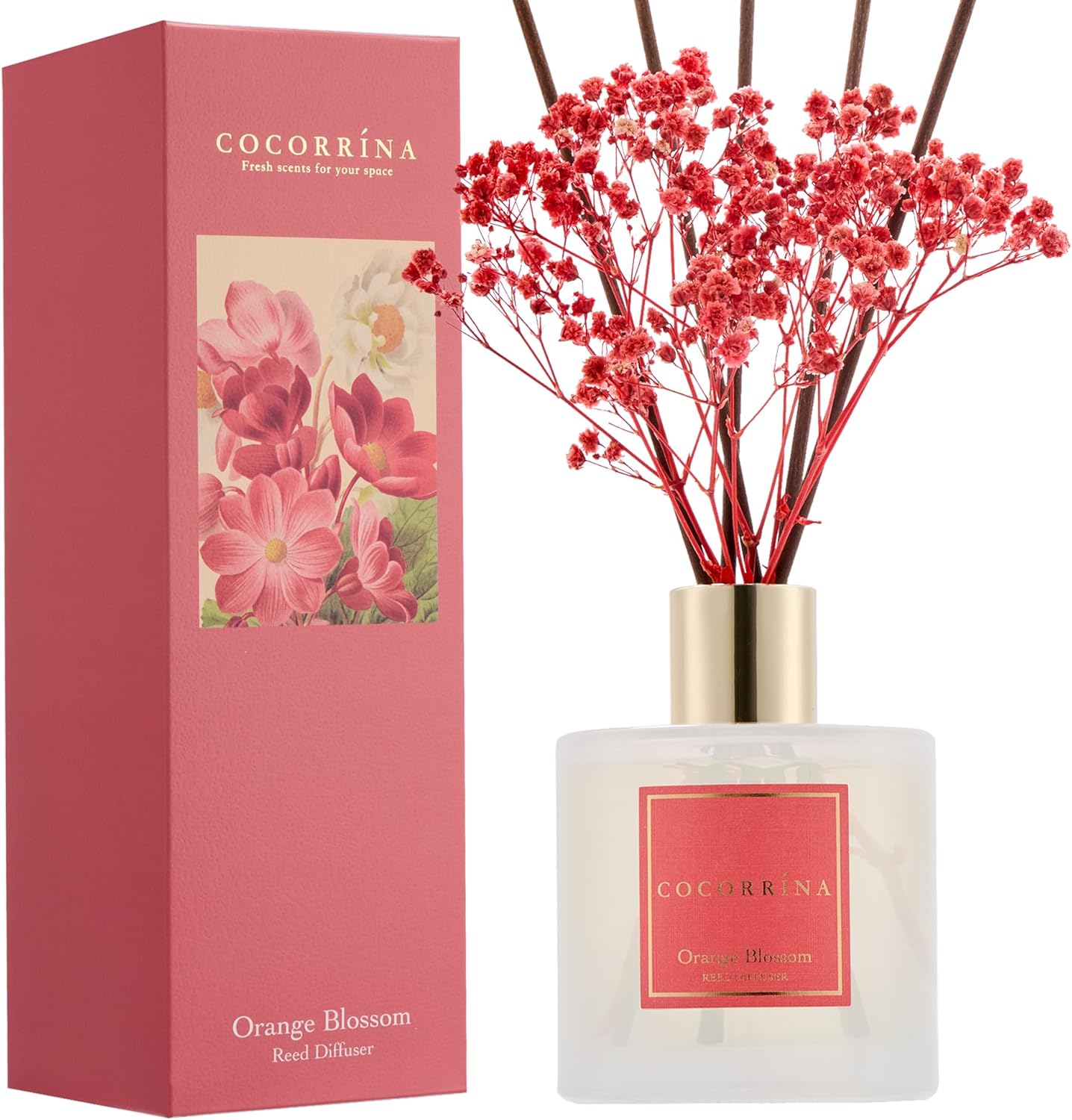 Cocorrína Premium Reed Diffuser Set with Preserved Baby's Breath & Cotton Stick Cashmere Vanilla | 6.7 fl oz Scent Fragrance Oil Diffuser for Bedroom Bathroom Home Décor