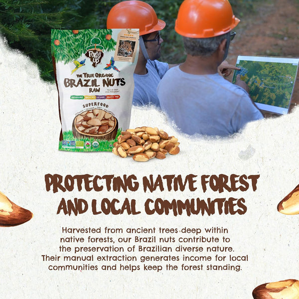 Brazil Nuts, 15 oz, Raw, Unsalted, Kosher, Organic, Vegan, Gluten Free, Harvested in Amazon Rainforest