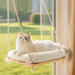Rustic cat hammock bed with solid wood seat and heavy duty suction cups for large cats