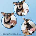 Best Pet Supplies Pet Wipes for Dogs, Hydrating and Deodorizing, Safe and Non-Sticky, 1 Count