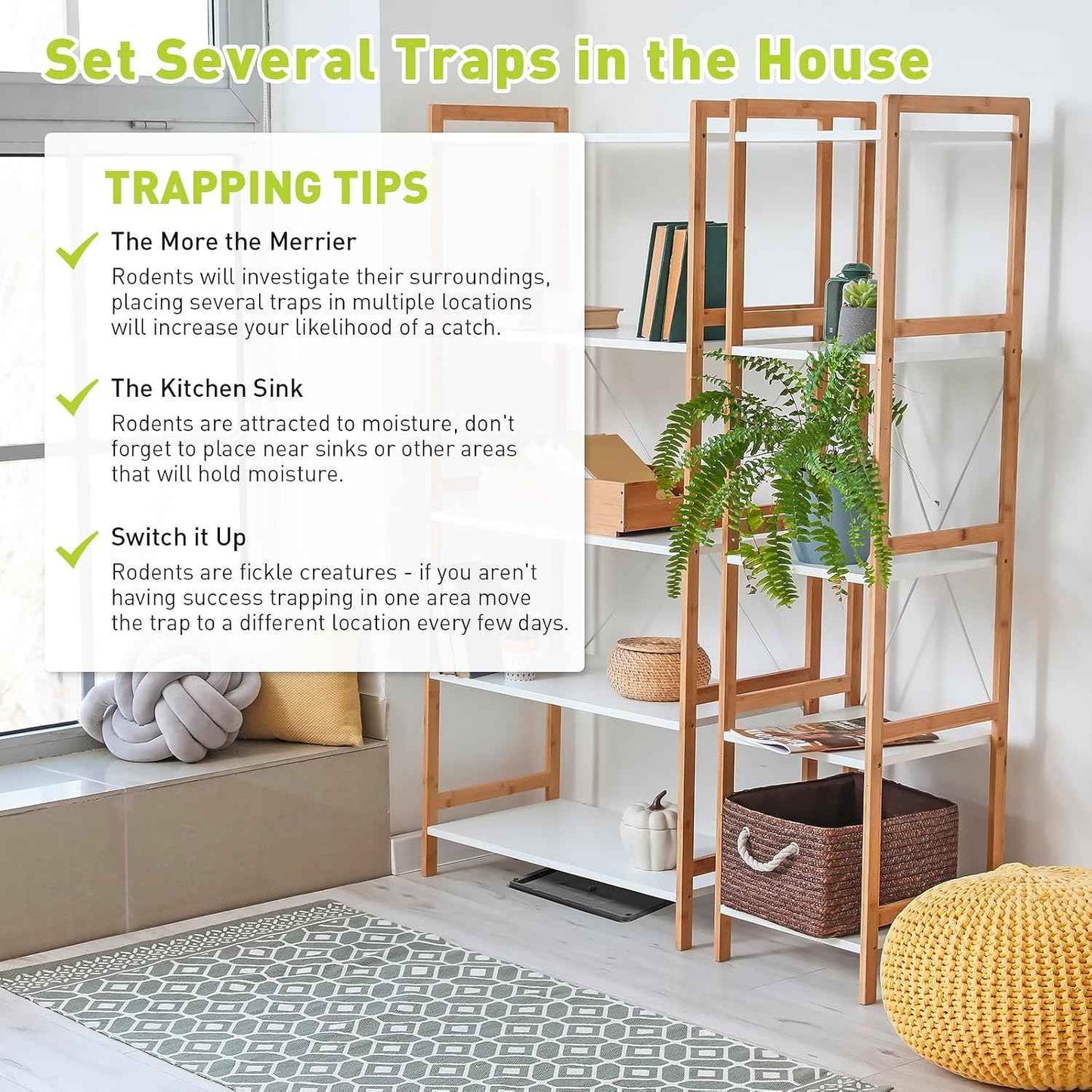 Glue Mouse Traps Indoor for Home, Rat Trap-12 Pack, Large Heavy Duty Glue Traps for Safe Home Pest Control. Pre-Scented, Non-Toxic Sticky Boards for Mice, Rats & More. Easy To Use