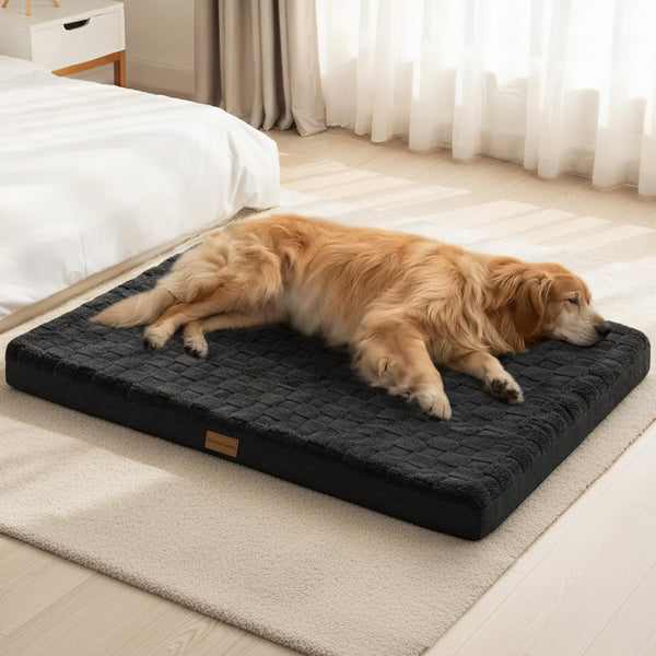 patas-lague-large-orthopedic-dog-bed-waterproof-egg-crate-foam-black-36x24