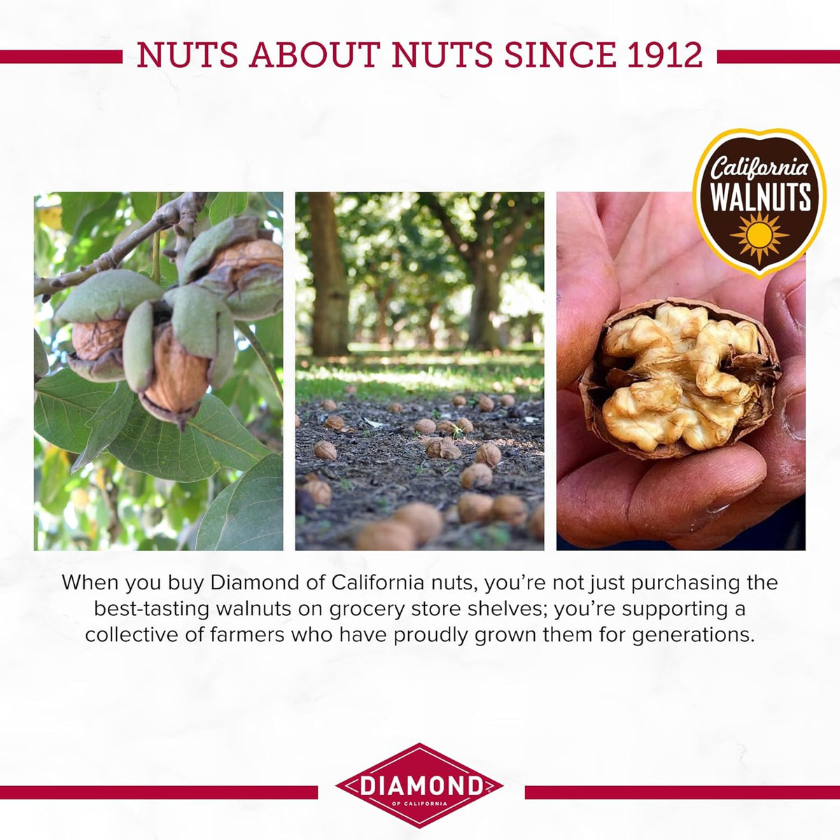 Shelled Walmut Diamond of California Shelled Walnut Halves and Pieces, Pre-Shelled Ra ...