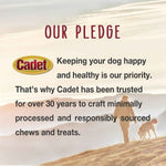 Cadet Stuffed Shin Bone, Long-Lasting Dog Chew Bones for Aggressive Chewers, High Protein Filled Bone Dental Chew for Dogs, Peanut Butter Flavor Filling, 5-6" for Large Dogs