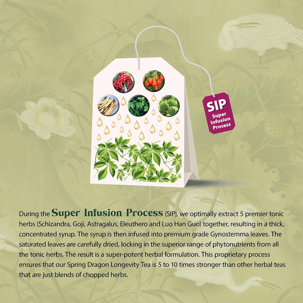 Dragon Herbs Spring Dragon Longevity Tea - Adaptogenic Herbal Tea Blend