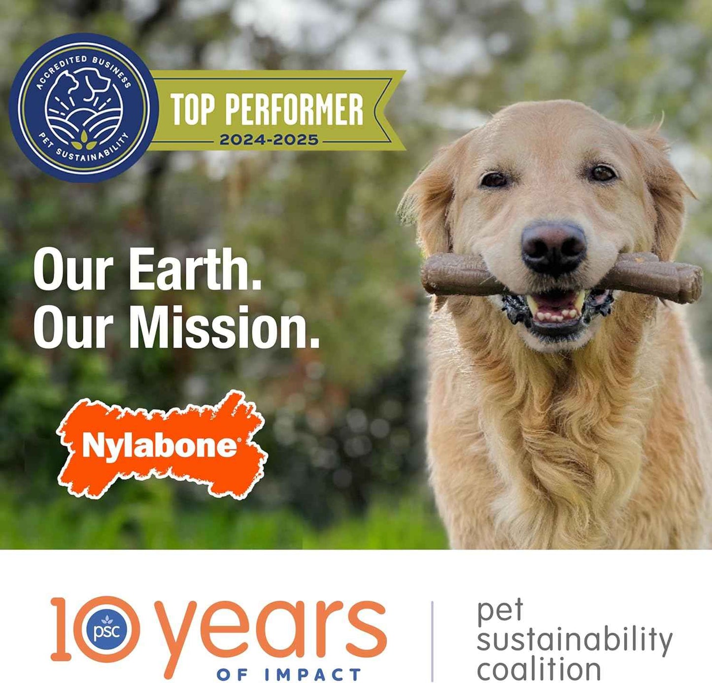 Nylabone Ring Bone Chew Toy for Puppies, Puppy Teething Toys, Puppy Enrichment Toys, Chicken Flavor, X-Small Dogs - Up to 15 lbs, 1 Count