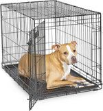MidWest iCrate 36-inch metal wire dog crate with divider, leak-proof tray, and secure latches for medium large breeds