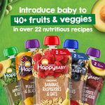 Happy Baby Organics Stage 2 Baby Food Pouches, 10 Count, 4 Ounces Each, Gluten Free, Vegan