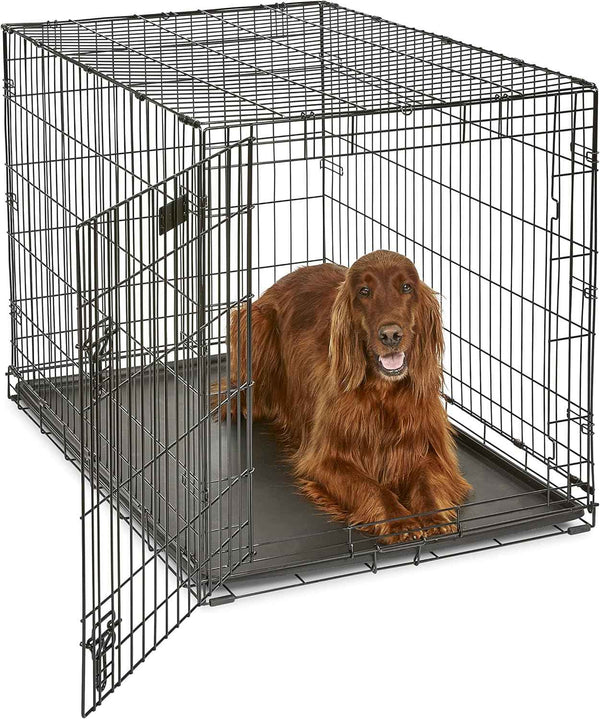 MidWest Homes for Pets 36-Inch iCrate Folding Dog Crate with Divider Panel, Leak-Proof Tray & Secure Latches – Metal Wire Kennel for Medium Large Breeds – Portable, Durable & Easy to Assemble