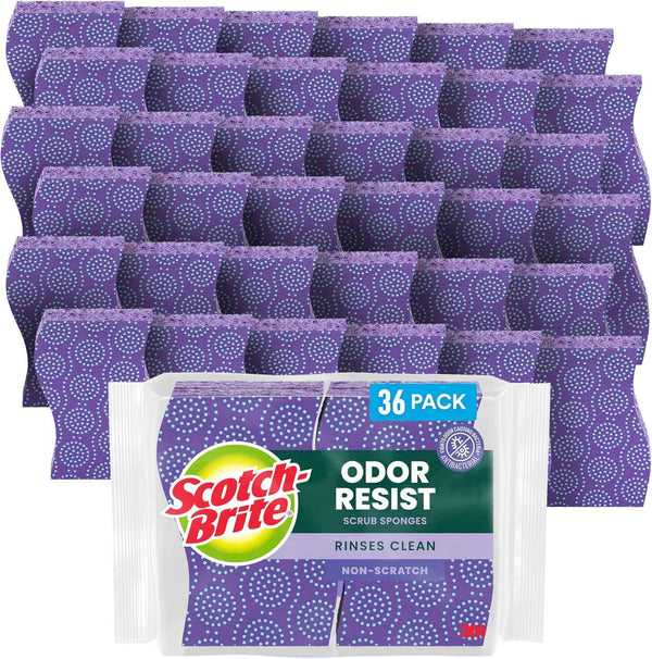 Scotch-Brite Odor Resist Non-Scratch Scrub Sponge, Dishwasher-Safe Kitchen Sponges that Resist Bacterial Odors, Multipurpose Dish Sponge for Gentle Cleaning, 6 Dish Sponges